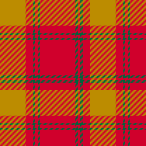 DY/84 R24 G8 R8 G8 R/116 tartan Tartan detail
