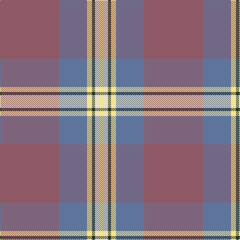 LT/118 B56 LY10 K6 W8 LY/10 tartan Tartan detail