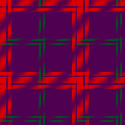 DP/8 G8 DP104 R14 DP6 R/24 tartan Tartan detail