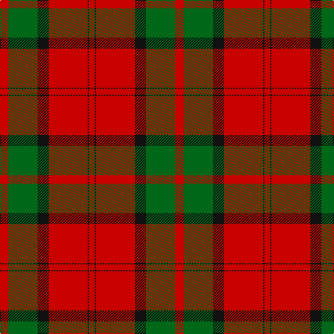 R/12 G42 K16 R56 K2 R/8 tartan Tartan detail