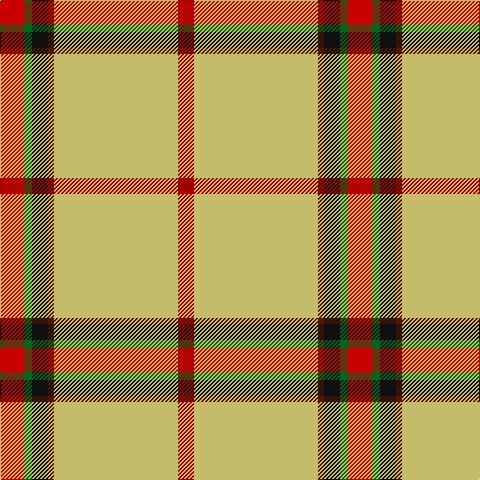 R/24 G8 K16 DR6 LG124 DRa/16 tartan Tartan detail