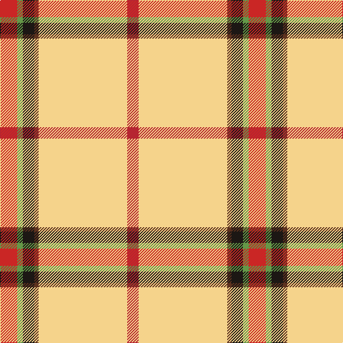 R/24 LG8 K16 T6 LY124 Ra/16 tartan Tartan detail