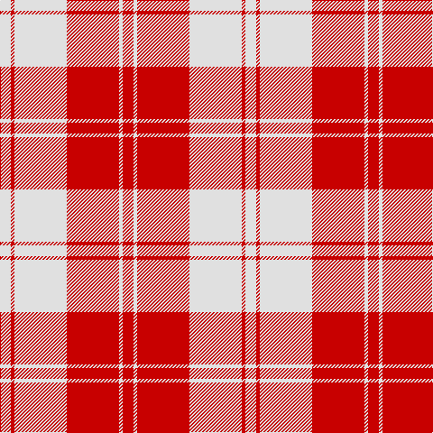 LN/12 R4 LN58 R58 LN4 R/12 tartan Tartan detail