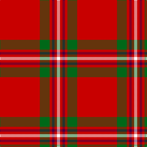 R/130 G32 R8 DP8 R8 W/10 tartan Tartan detail