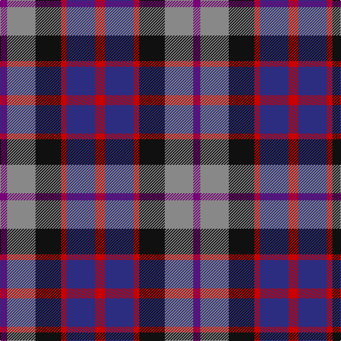 P/10 N40 K36 R8 DB40 R/14 tartan Tartan detail