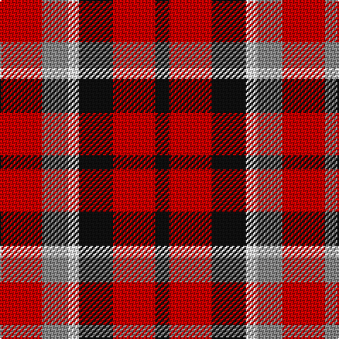 K/10 R30 K24 W8 N18 R/30 tartan Tartan detail