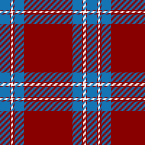 B/32 DR4 W8 DR4 B32 DR/160 tartan Tartan detail