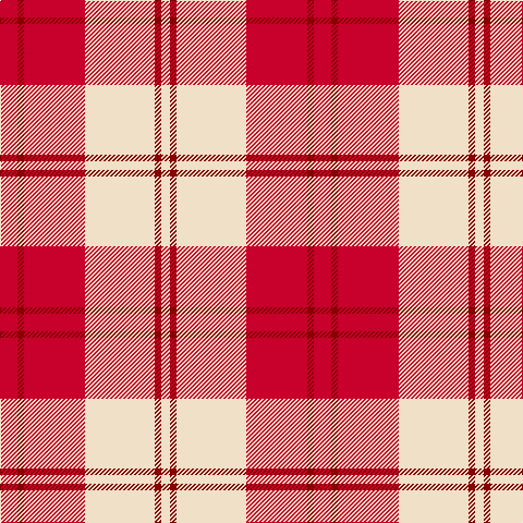 R/16 DR6 R56 W64 DR6 W/8 tartan Tartan detail