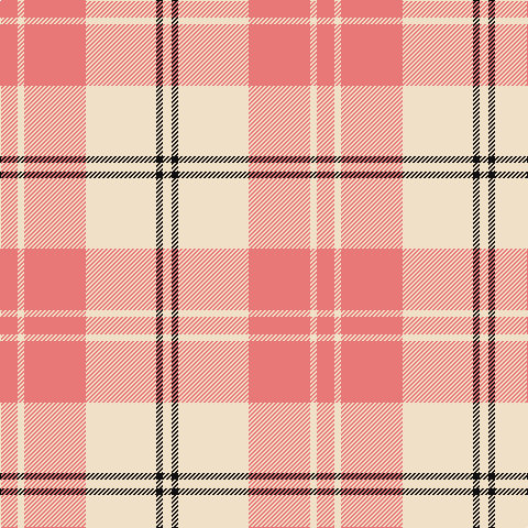 LR/16 W6 LR56 W64 K6 W/8 tartan Tartan detail