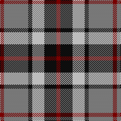 DR/8 N48 K8 LN24 K24 DR/8 tartan Tartan detail