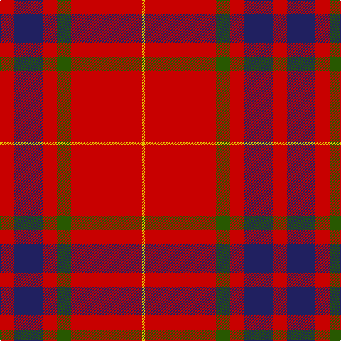 R/20 DB40 R20 G20 R100 Y/4 tartan Tartan detail
