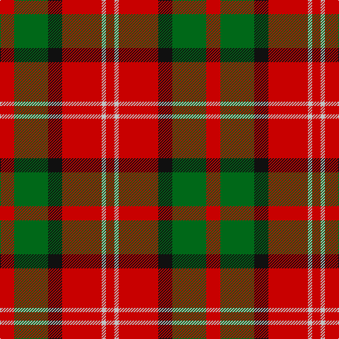 R/20 G48 K20 R56 N6 R/12 tartan Tartan detail