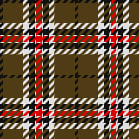 K/10 T70 LN20 K20 LN4 R/20 tartan Tartan detail