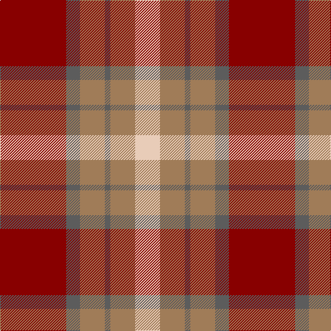 DR/96 N20 LT36 N8 LT36 LR/36 tartan Tartan detail