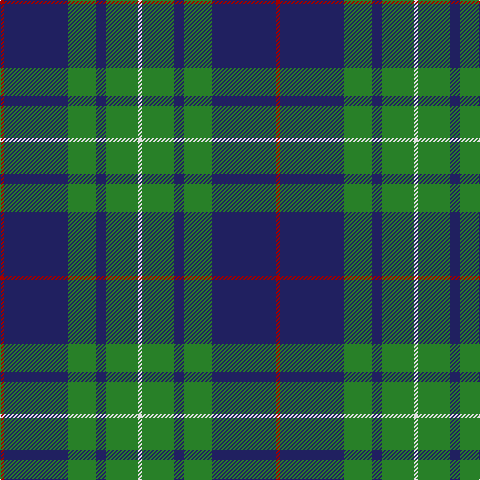 DR/4 DB64 Ga28 DB10 Ga32 LN/4 tartan Tartan detail