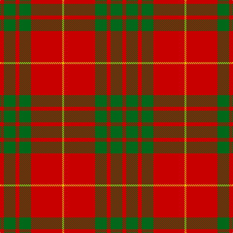 R/8 G24 R8 G24 R64 Y/4 tartan Tartan detail