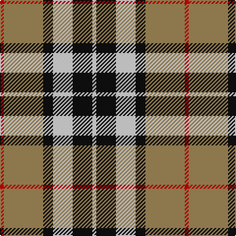 LN/4 K20 LN20 K10 LT40 R/4 tartan Tartan detail