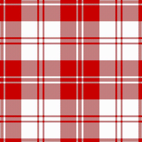 R/12 W6 R54 W54 R6 W/12 tartan Tartan detail