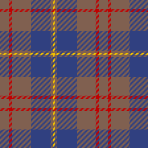 LT/30 R10 LT60 B64 LT8 Y/6 tartan Tartan detail