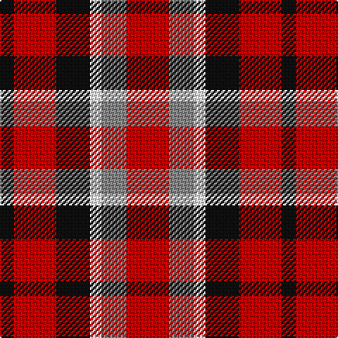 K/10 R30 K24 W8 N18 R/30 tartan Tartan detail