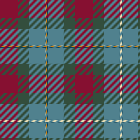 DR/62 N38 B54 DB2 LR2 DO/2 tartan Tartan detail