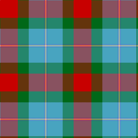 R/62 G38 Ba54 B2 LN2 O/2 tartan Tartan detail