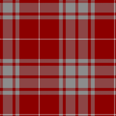 DR/12 N40 DR12 N16 DR80 Na/4 tartan Tartan detail