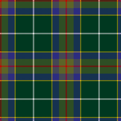 LN/6 DG68 Y4 DB26 G26 R/6 tartan Tartan detail