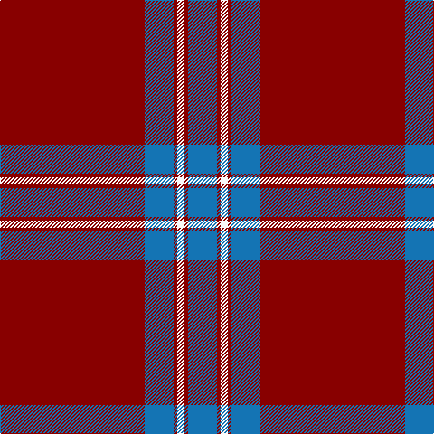 DR/160 B32 DR4 W8 DR4 B/32 tartan Tartan detail