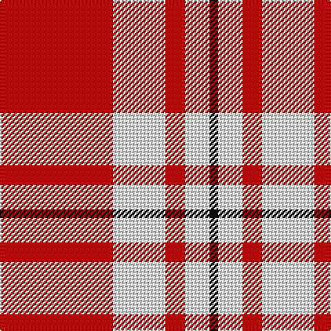 R/82 W38 R14 W16 W2 K/6 tartan Tartan detail