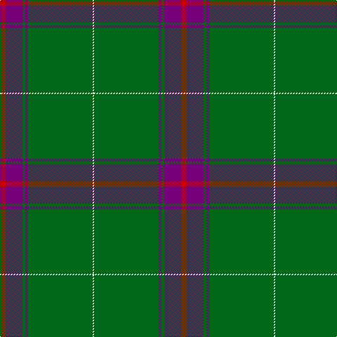 R/8 P24 G4 P4 G92 LN/2 tartan Tartan detail
