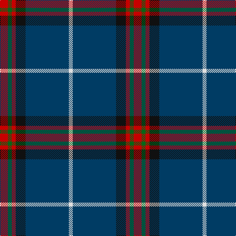 R/16 G8 R8 K20 DB88 LN/8 tartan Tartan detail