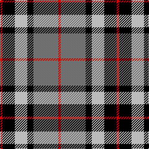 R/4 K20 LN20 K10 N40 R/4 tartan Tartan detail