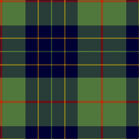 R/8 G80 DB42 DY4 DB42 G/4 tartan Tartan detail
