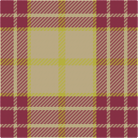 DR/16 LG4 DR12 Y4 LG32 Y/8 tartan Tartan detail