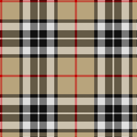 R/8 LG60 K12 LN26 K26 LN/6 tartan Tartan detail