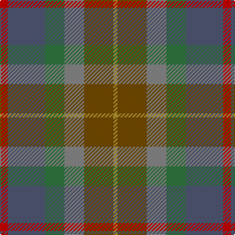 R/8 N38 G20 Na20 T30 DO/4 tartan Tartan detail