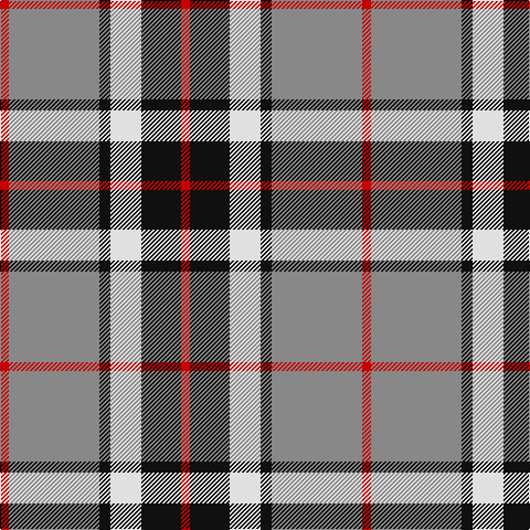 R/8 N82 K10 LN28 K36 R/8 tartan Tartan detail