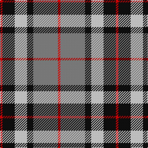 R/4 K20 LN20 K10 N40 R/4 tartan Tartan detail