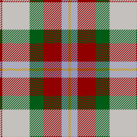 DR/4 LY48 G24 DR32 LP12 DY/4 tartan Tartan detail
