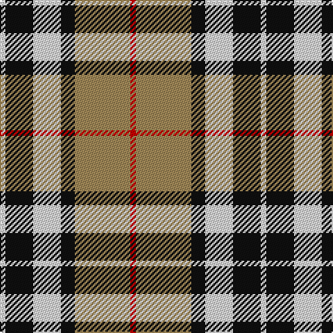 LN/4 K20 LN20 K10 LT40 R/4 tartan Tartan detail