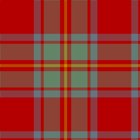 DY/10 R14 N56 R10 B24 R/116 tartan Tartan detail