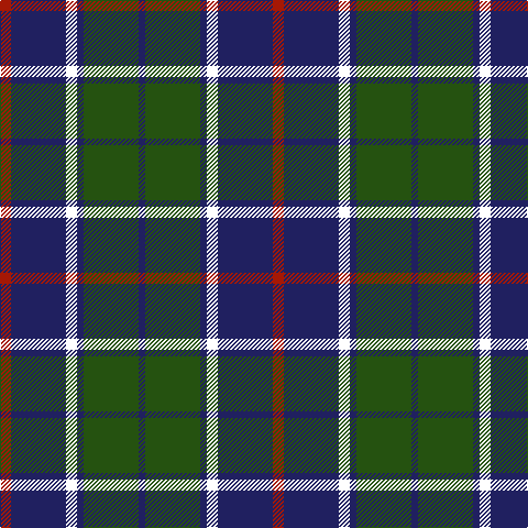 DB/6 G50 DB6 W10 DB50 DR/10 tartan Tartan detail