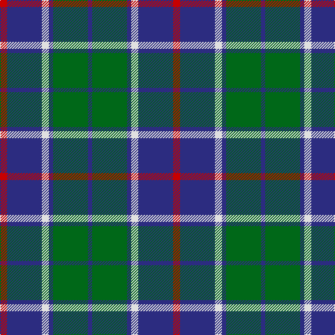 DB/6 G50 DB6 LN10 DB50 R/10 tartan Tartan detail