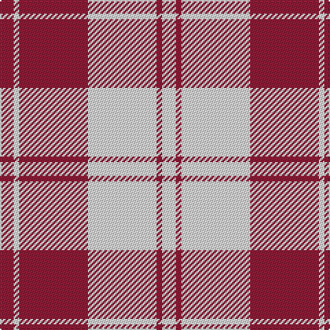 DR/10 LN4 DR50 LN50 DR4 LN/10 tartan Tartan detail