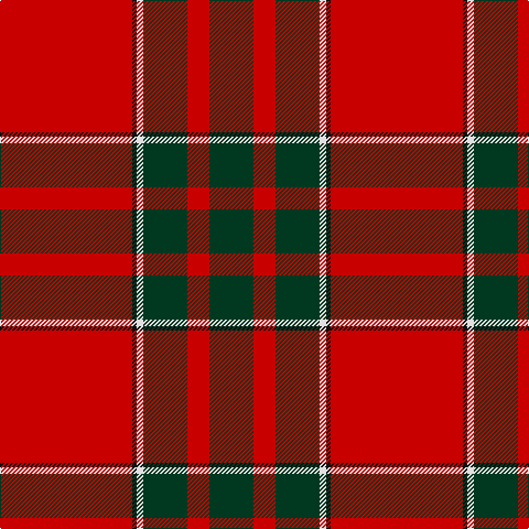 DG/40 R20 DG40 LN6 K4 R/120 tartan Tartan detail