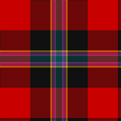 R/120 K80 Y6 P10 Pa6 G/24 tartan Tartan detail