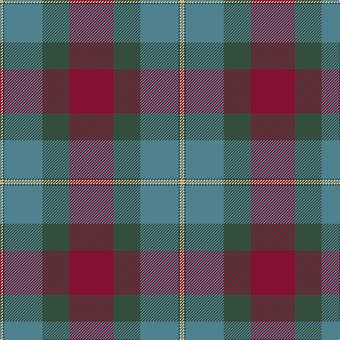 DO/2 LR2 DB2 B54 N38 DR/62 tartan Tartan detail