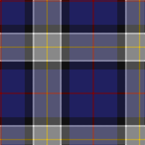 DR/6 DB76 K26 LN6 N40 Y/4 tartan Tartan detail