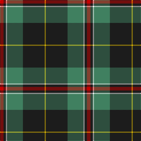 R/12 K8 W4 G54 K74 Y/4 tartan Tartan detail